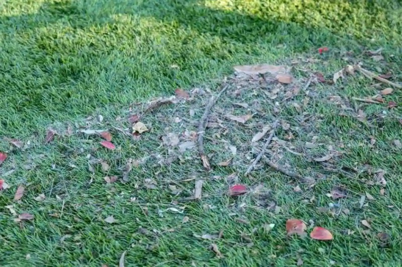 Blooming & De-Compacting